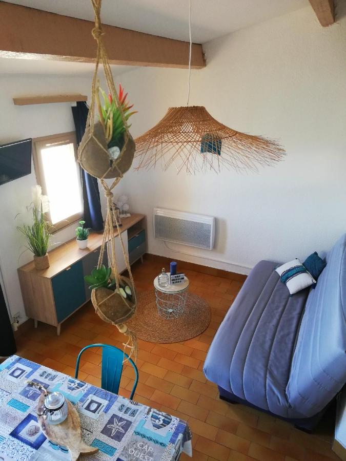 Appartement Tout Confort A Cap Coudalere Avec Vue Magnifique Sur Le Canigou Au Bord Du Lac - Check In Automatise - Parking Gratuit - Aire De Jeux D'Enfants - 르발카레스 외부 사진