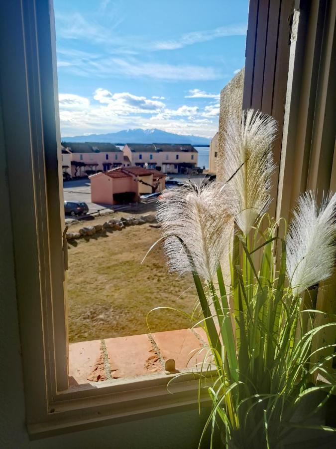 Appartement Tout Confort A Cap Coudalere Avec Vue Magnifique Sur Le Canigou Au Bord Du Lac - Check In Automatise - Parking Gratuit - Aire De Jeux D'Enfants - 르발카레스 외부 사진