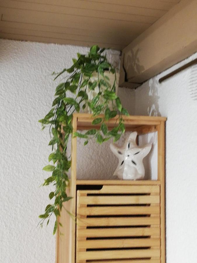 Appartement Tout Confort A Cap Coudalere Avec Vue Magnifique Sur Le Canigou Au Bord Du Lac - Check In Automatise - Parking Gratuit - Aire De Jeux D'Enfants - 르발카레스 외부 사진